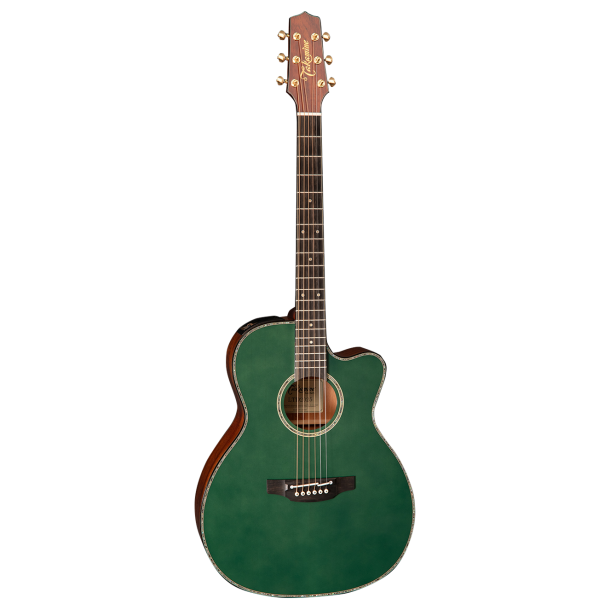 Takamine LTD2025